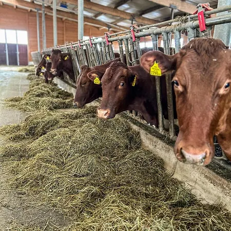 Κατάλυμα σε φάρμα Oberlehenhof *